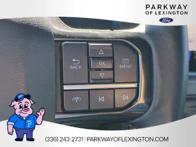 Used 2024 White Ford Platinum image 18