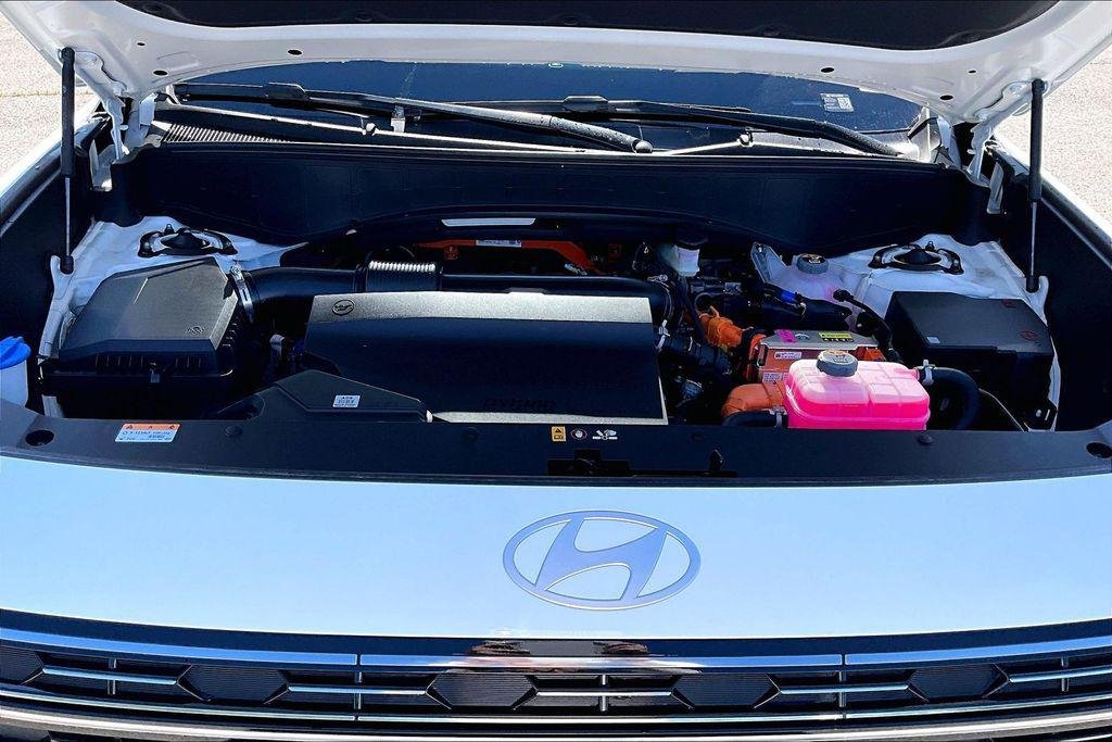 New 2026 Creamy White Pearl Hyundai Calligraphy image 12