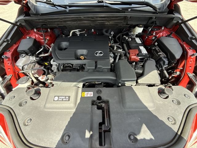 2024 Lexus NX 250 - Photo 27