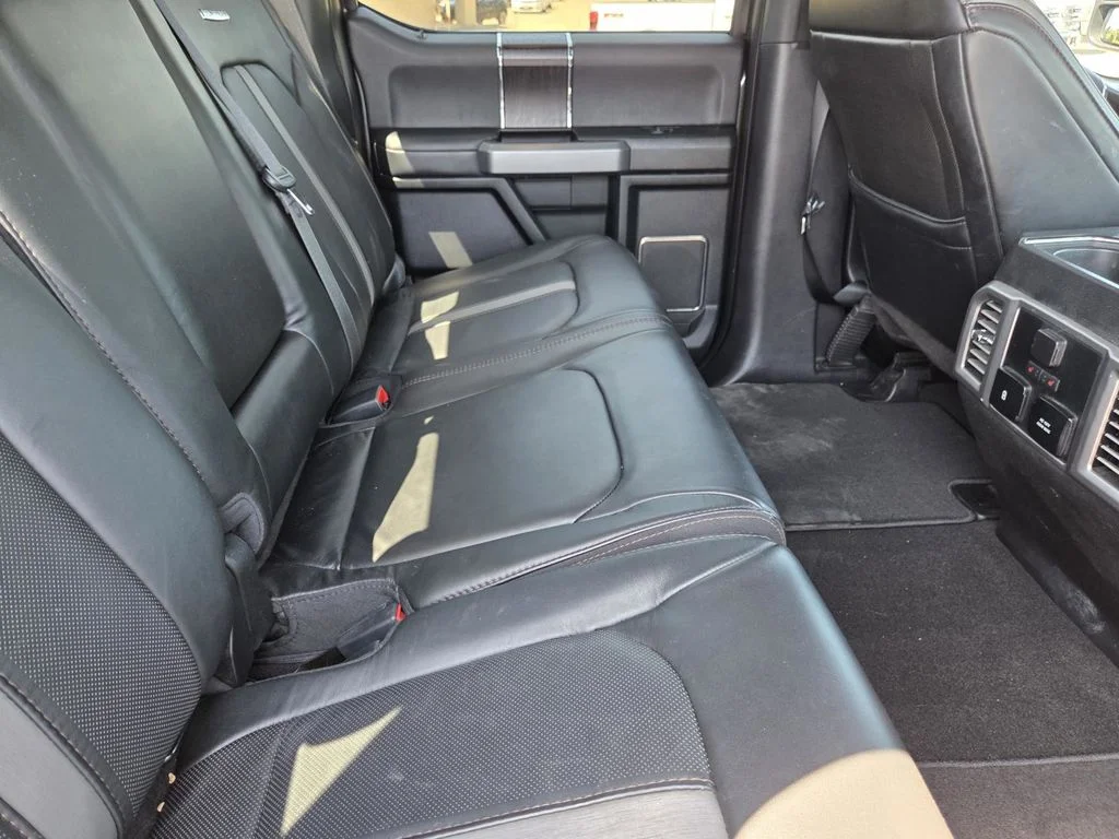 Used 2019 Magnetic Ford Platinum image 31