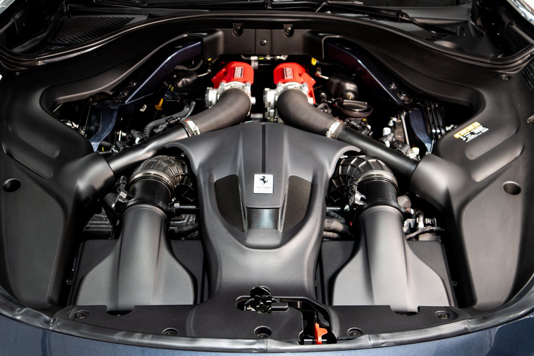 Used 2025 Blu Roma ferrari  image 10