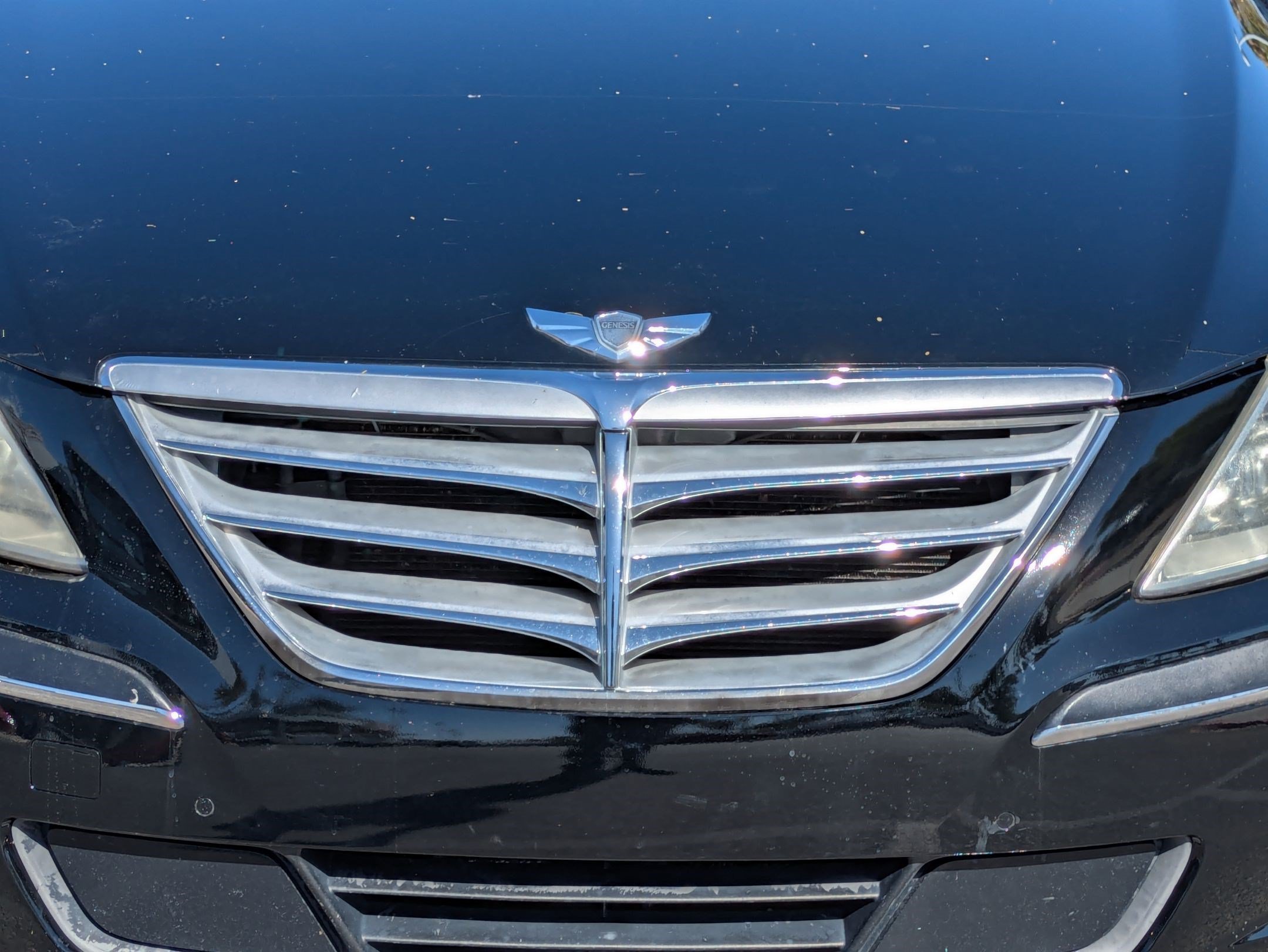 Used 2011 Black Noir Pearl Hyundai 4.6 image 9