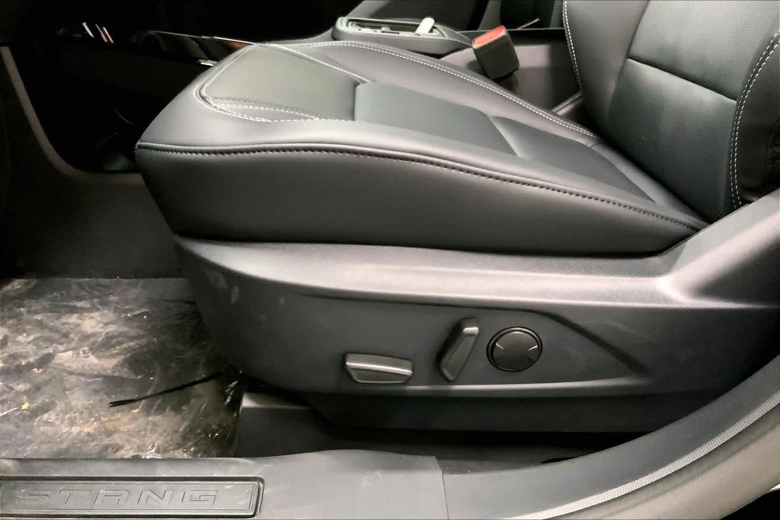 New 2026 Shadow Black Ford Premium image 19