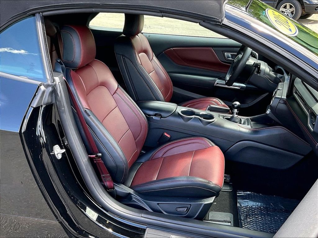 Used 2025 Black Ford GT Premium image 11