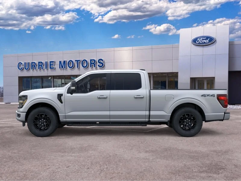 New 2026 Iconic Silver Metallic Ford LIFTED image 23