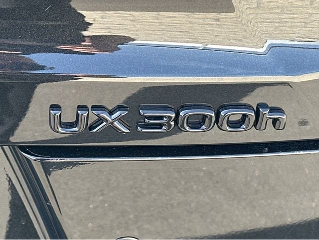 2026 Lexus UX Hybrid 300h Premium - Photo 21