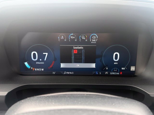 Used 2024 Black Ford Limited image 18