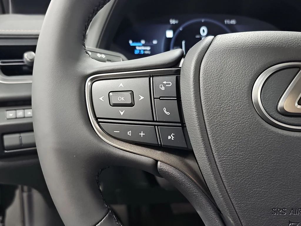 New 2026 Caviar Lexus PREMIUM AWD image 15