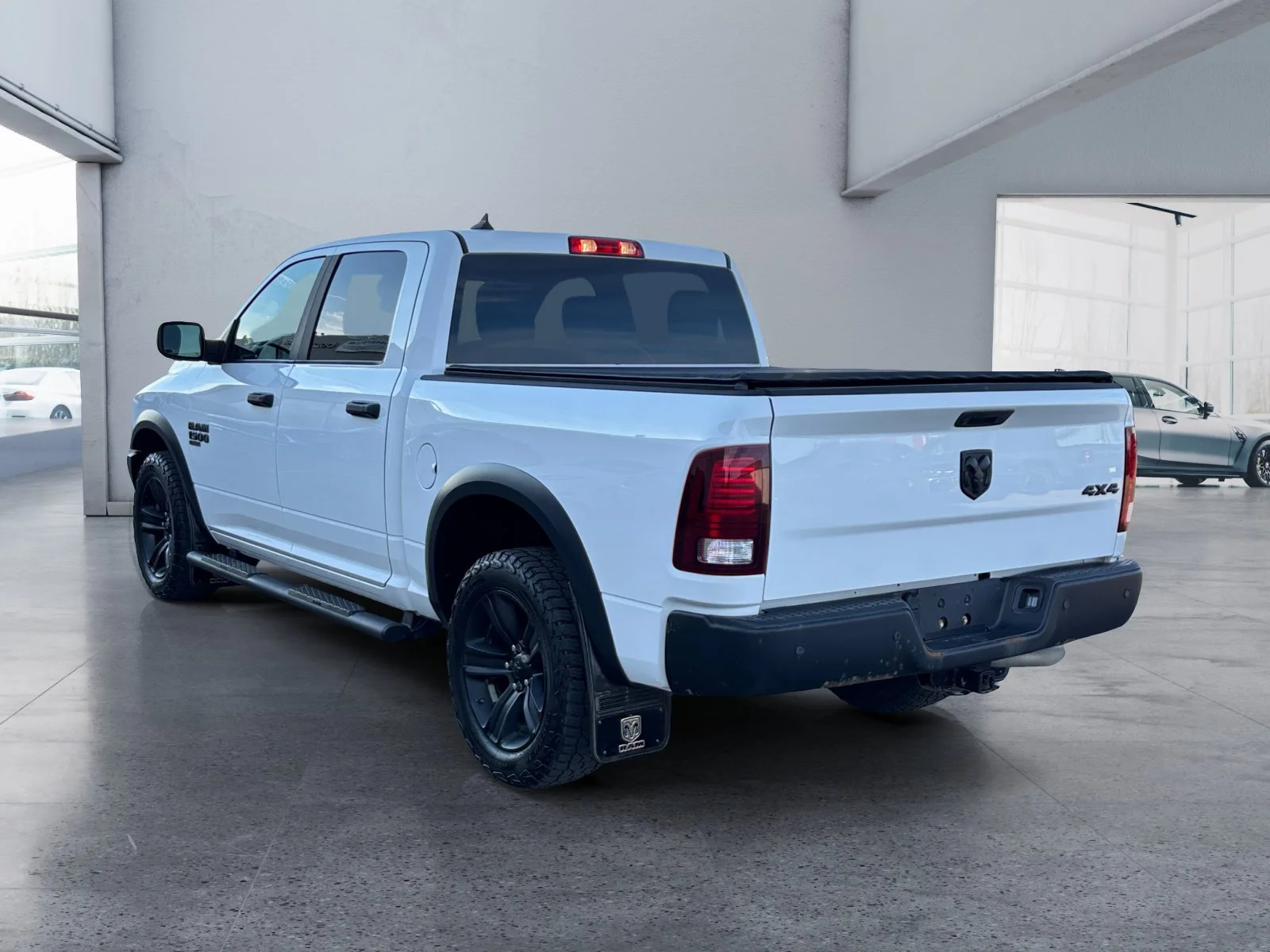 Used 2022 White Ram Warlock image 3