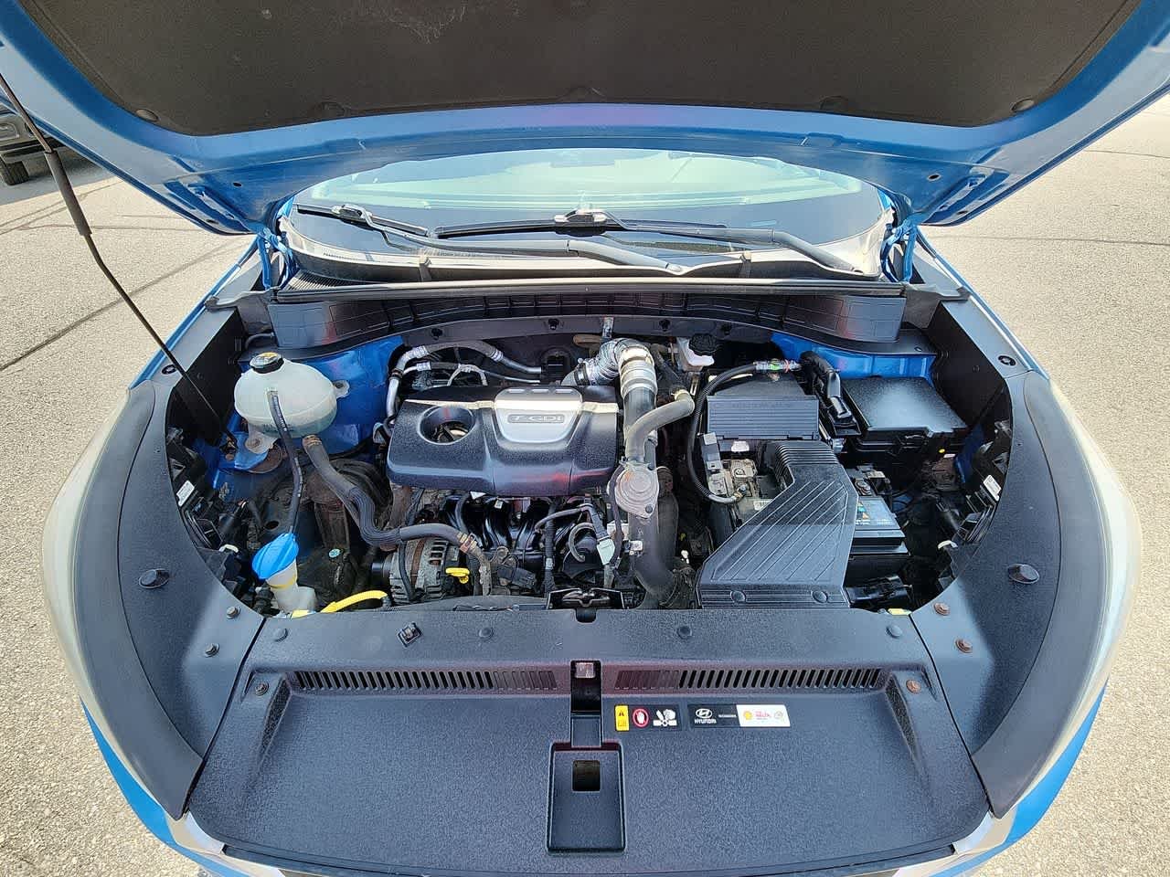 Used 2017 Caribbean Blue Hyundai Eco image 11