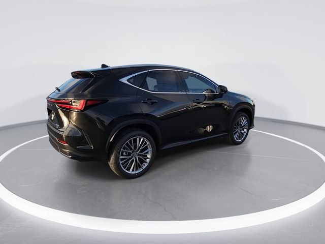2026 Lexus NX 350 Luxury - Photo 8