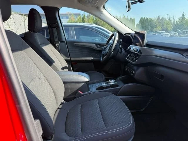 Used 2024 Race Red Ford Active image 18