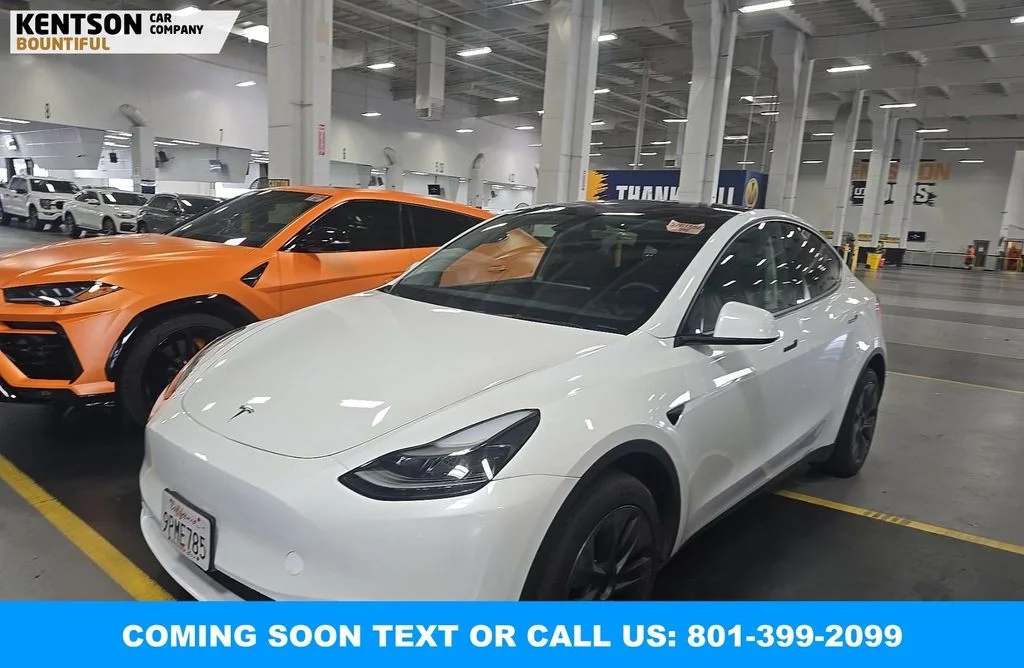 2024 Tesla Model Y Long Range Dual Motor All-Wheel Drive's photo