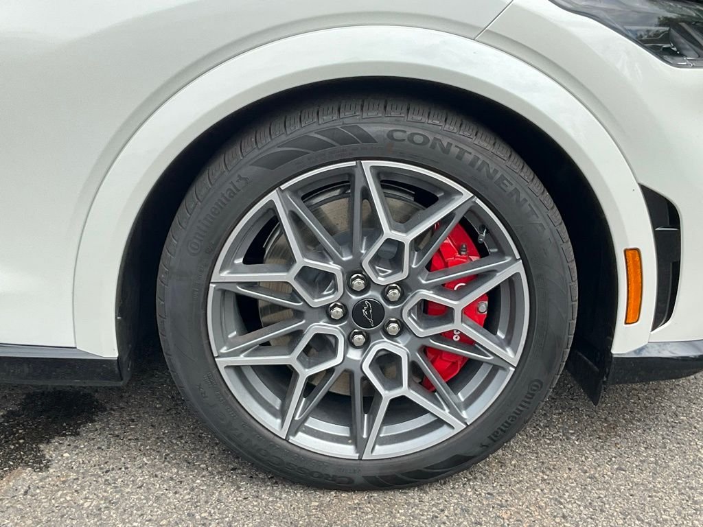 2025 Ford Mustang Mach-E GT - Photo 23