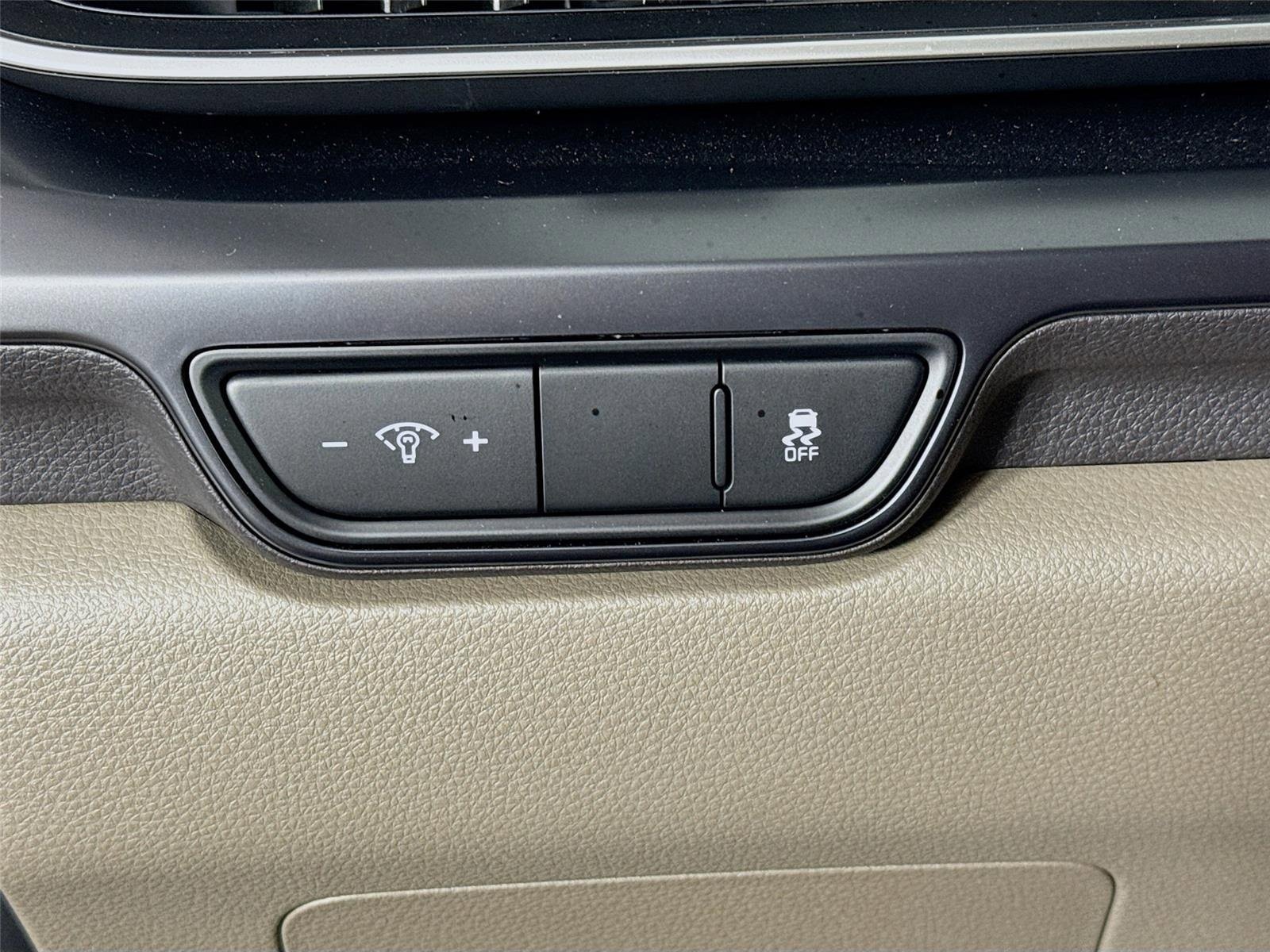 Used 2025 Panthera Metal Kia LXS image 10