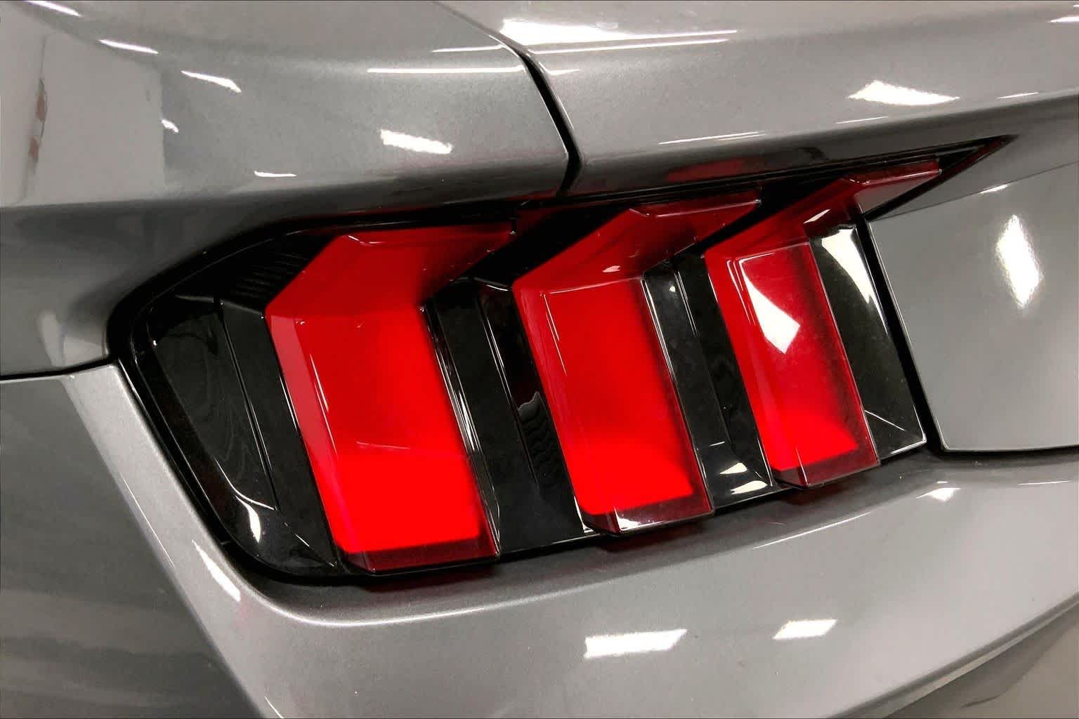 2025 Ford Mustang EcoBoost Fastback - Photo 14