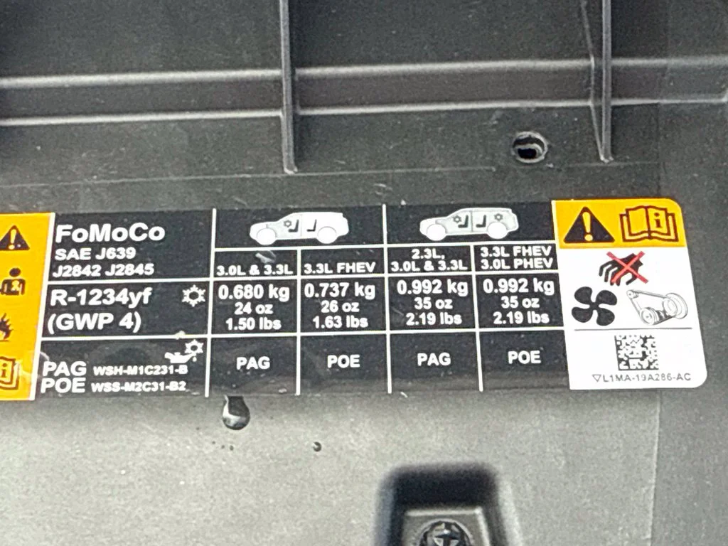 New 2027 White Ford Active image 42