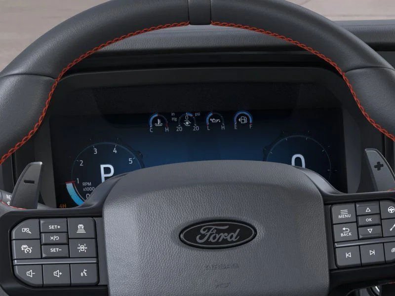 2025 Ford F-150 Raptor - Photo 13
