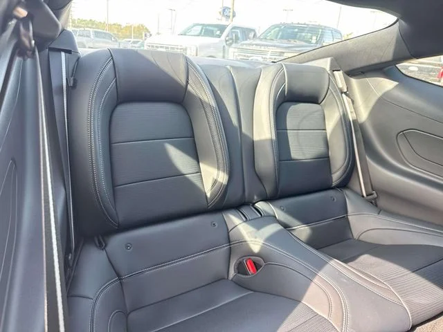 2025 Ford Mustang EcoBoost Premium Fastback - Photo 18