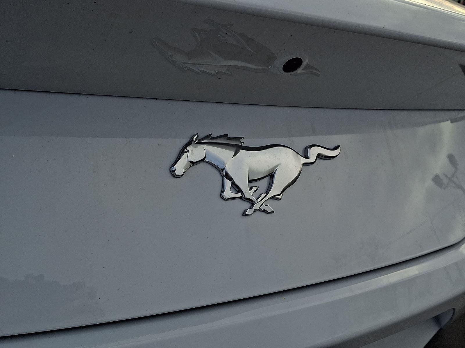 2026 Ford Mustang EcoBoost Premium Fastback - Photo 20