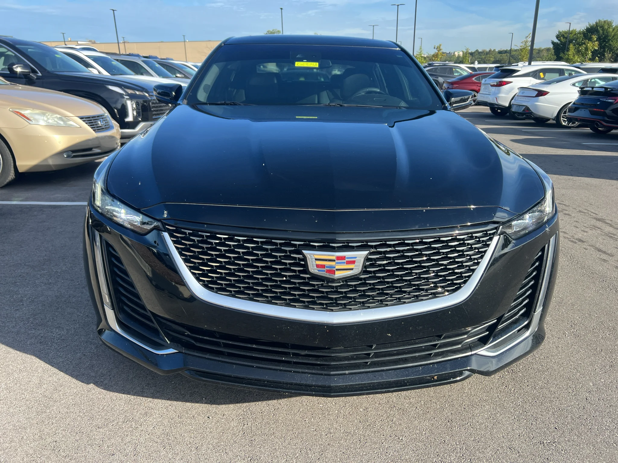 Used 2020 Black Raven Cadillac Premium Luxury image 2
