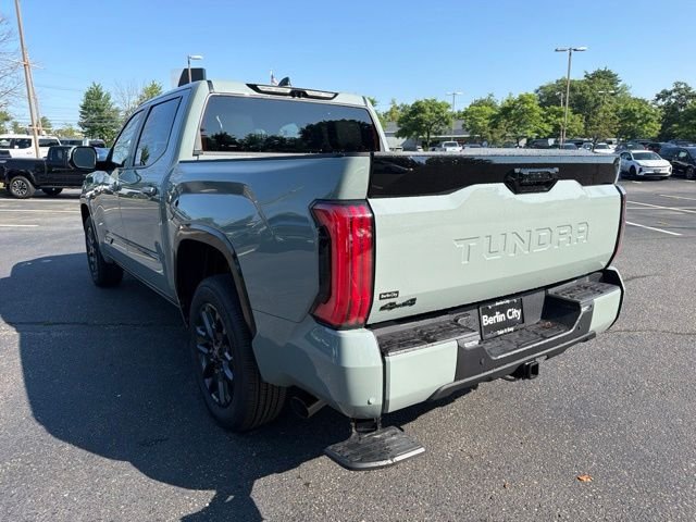 New 2026 Lunar Rock Toyota  Platinum image 9