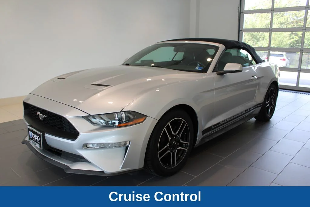 Used 2019 Silver Ford EcoBoost Premium image 13