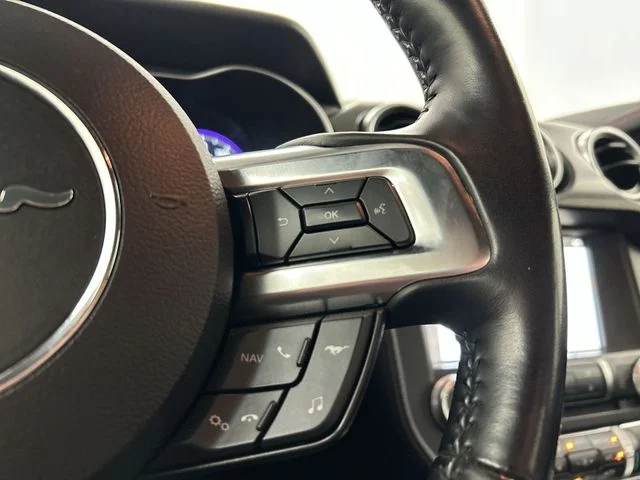 Used 2019 Black Ford GT Premium image 12