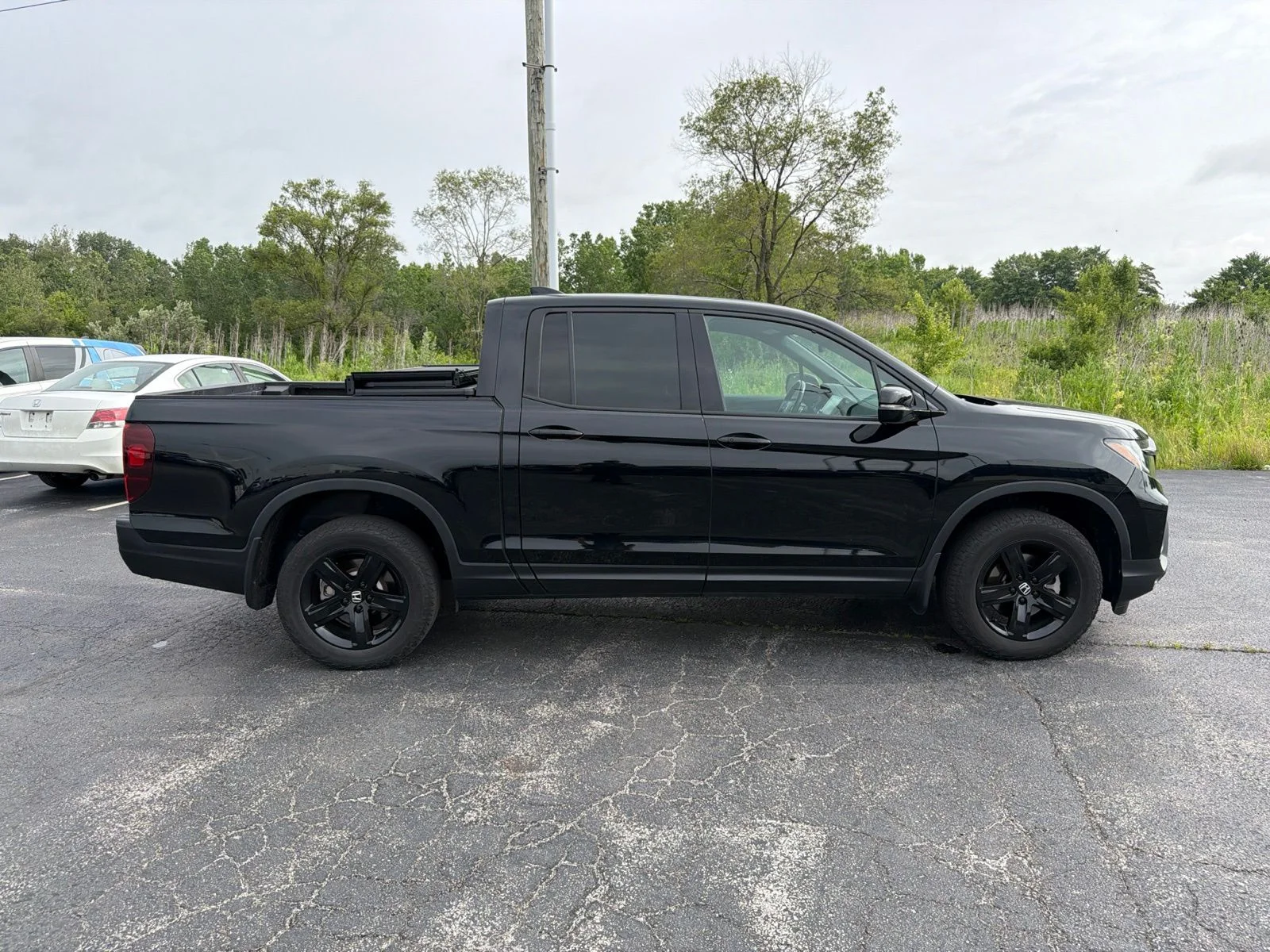 Used 2023 Black Honda Black Edition image 7