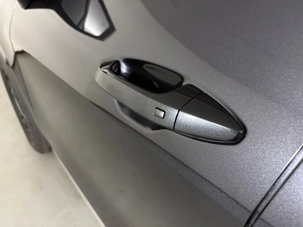 New 2026 Panthera Metal Kia EX image 12