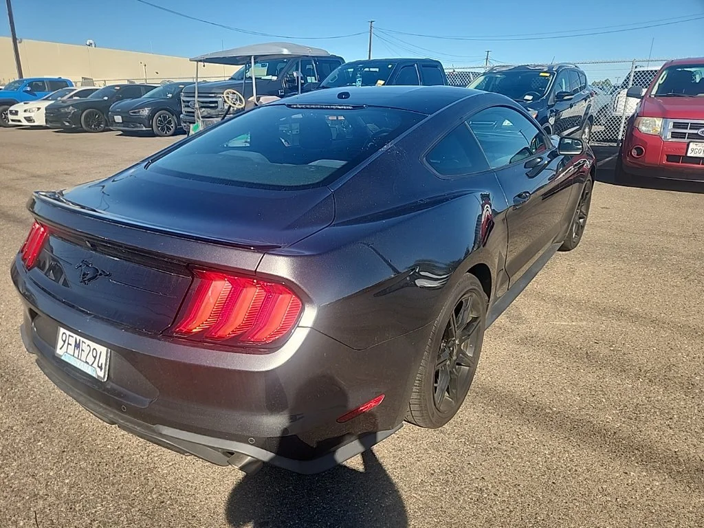 Used 2019 Gray Ford EcoBoost image 12