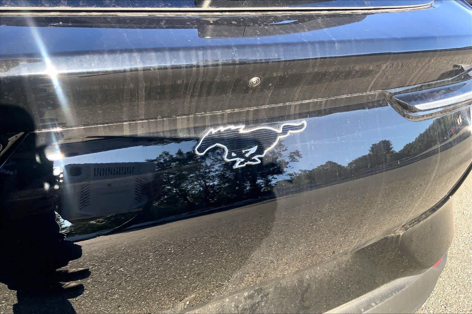 New 2026 Shadow Black Ford Premium image 6
