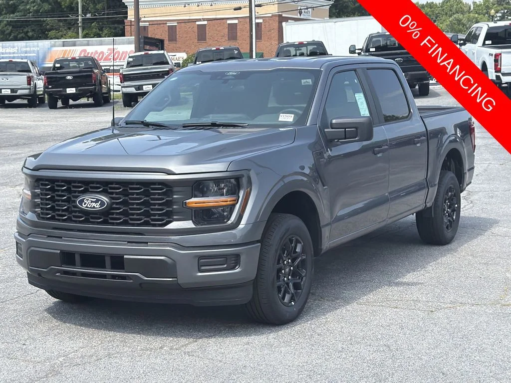 New 2026 Gray Ford STX image 3