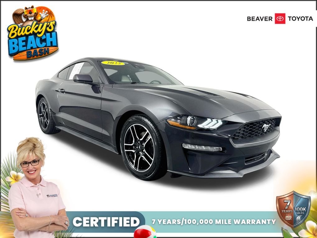 Used 2022 Gray Ford EcoBoost Premium image 1