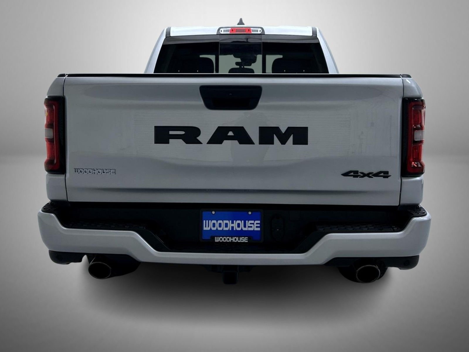 New 2026 Silver Zynith Exterior Paint RAM Express image 6