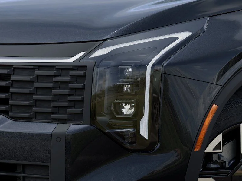 New 2026 Panthera_Meta;L Kia LX image 9