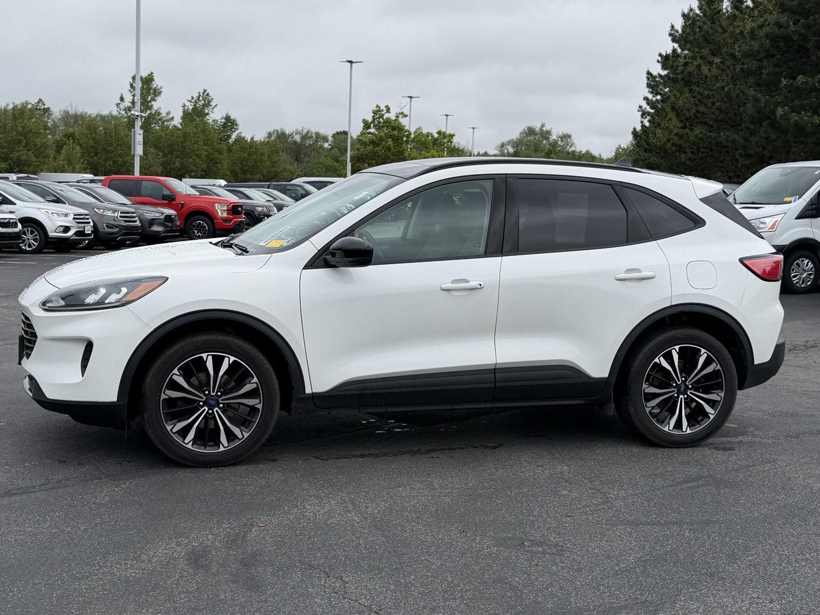 Used 2022 Star White Metallic Tri-Coat Ford SE image 4