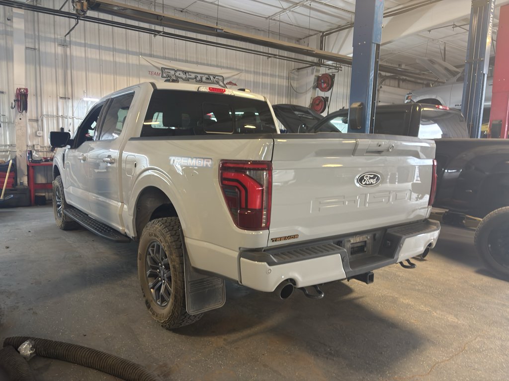 Used 2024 Avalanche Ford Tremor image 6