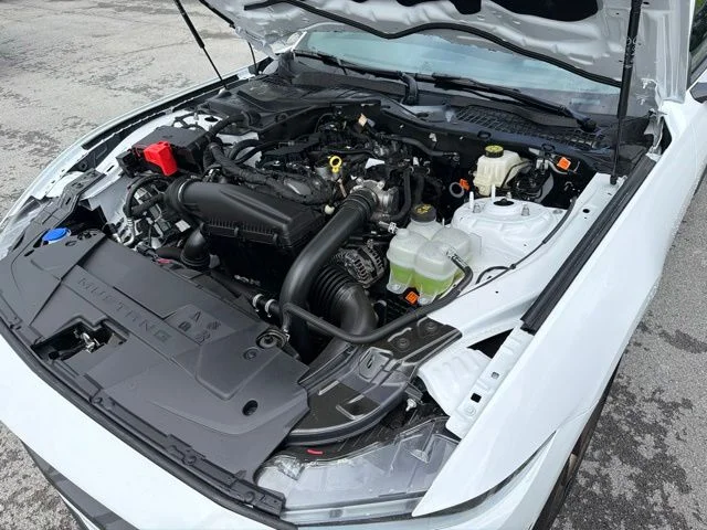 2025 Ford Mustang EcoBoost Premium Fastback - Photo 40