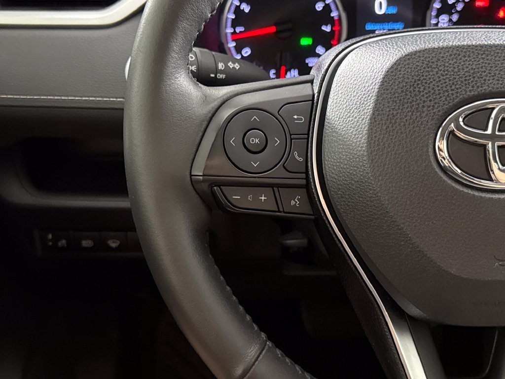 2019 Toyota RAV4 XLE Premium - Photo 15
