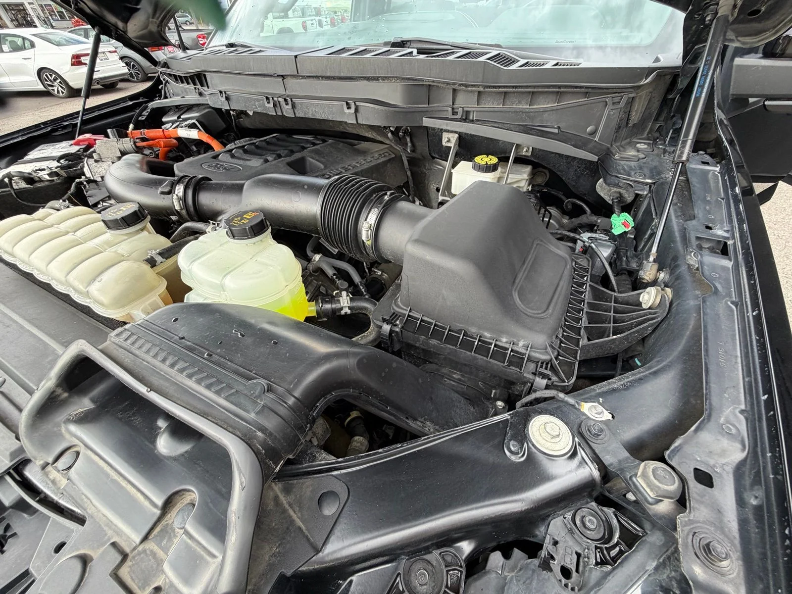Used 2023 Black Ford Platinum image 35