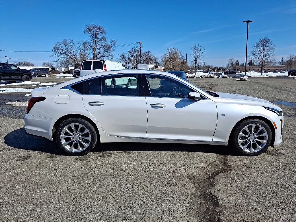 Used 2020 Crystal White Tricoat Cadillac Premium Luxury image 13