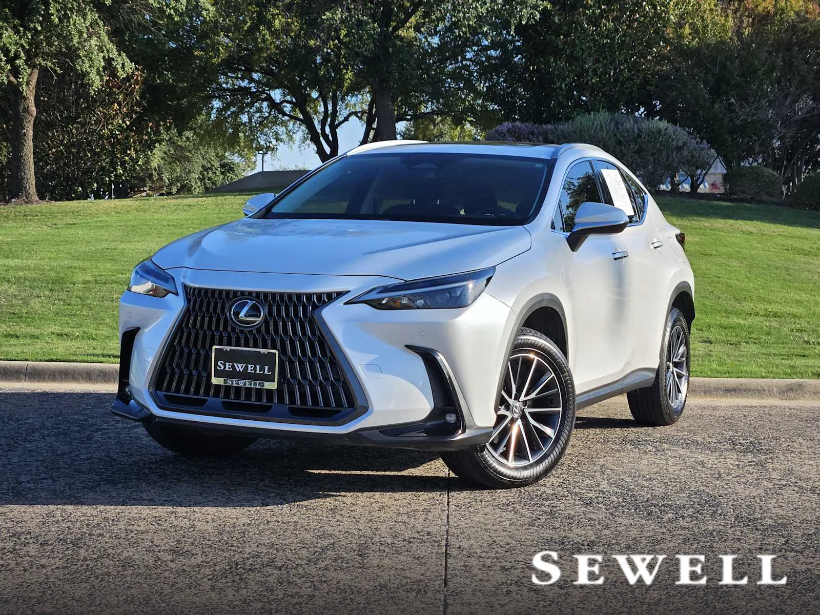 2025 Lexus NX