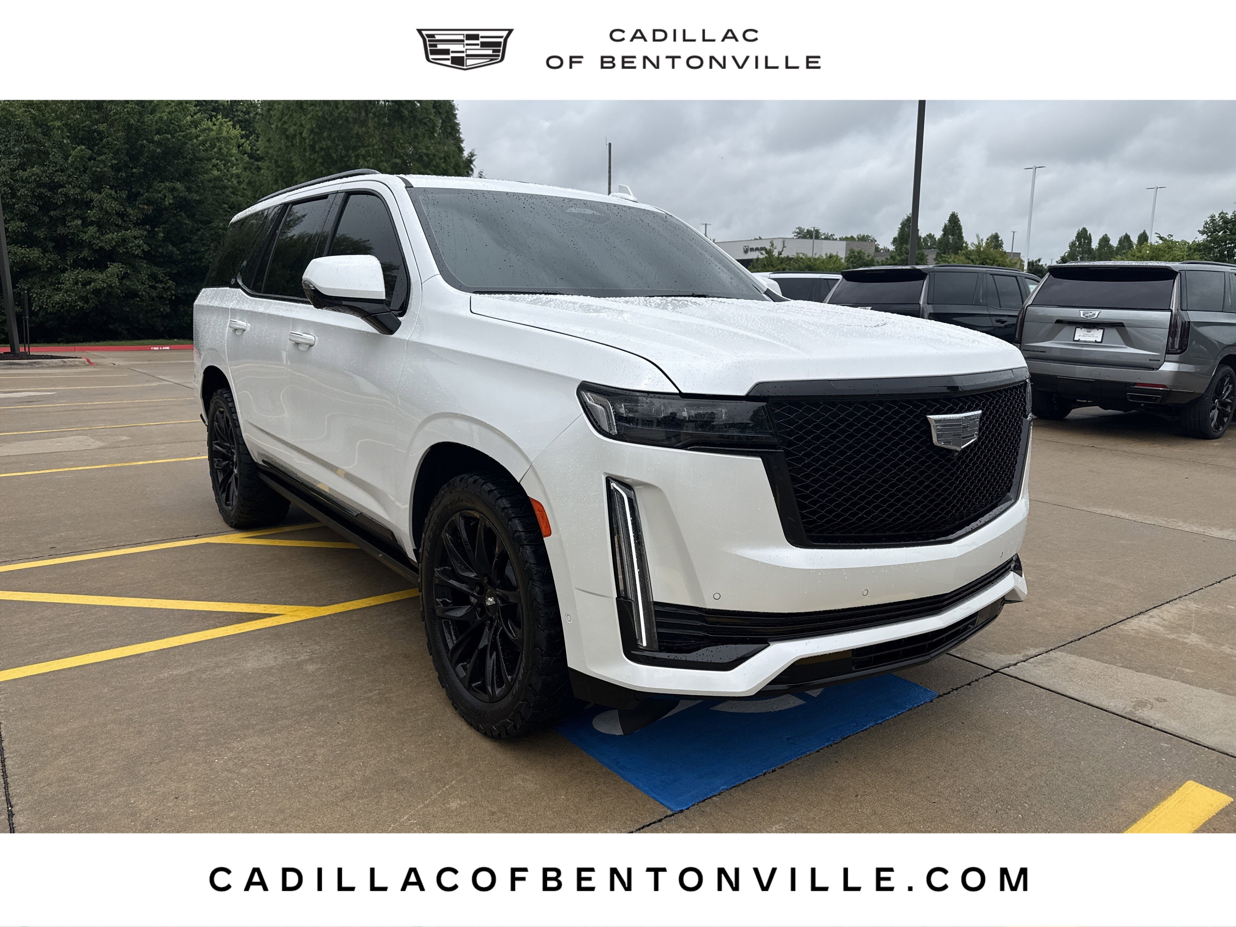 2023 Cadillac Escalade 4WD Sport's photo