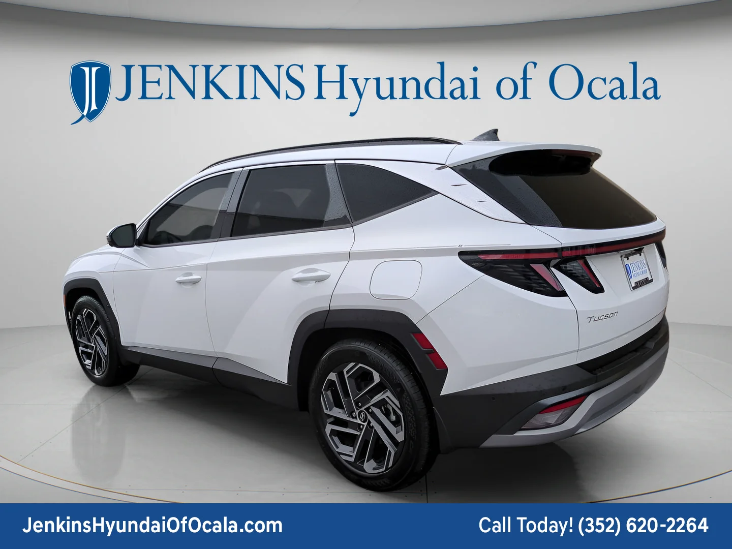 Used 2025 Serenity White Pearl Hyundai Limited image 5