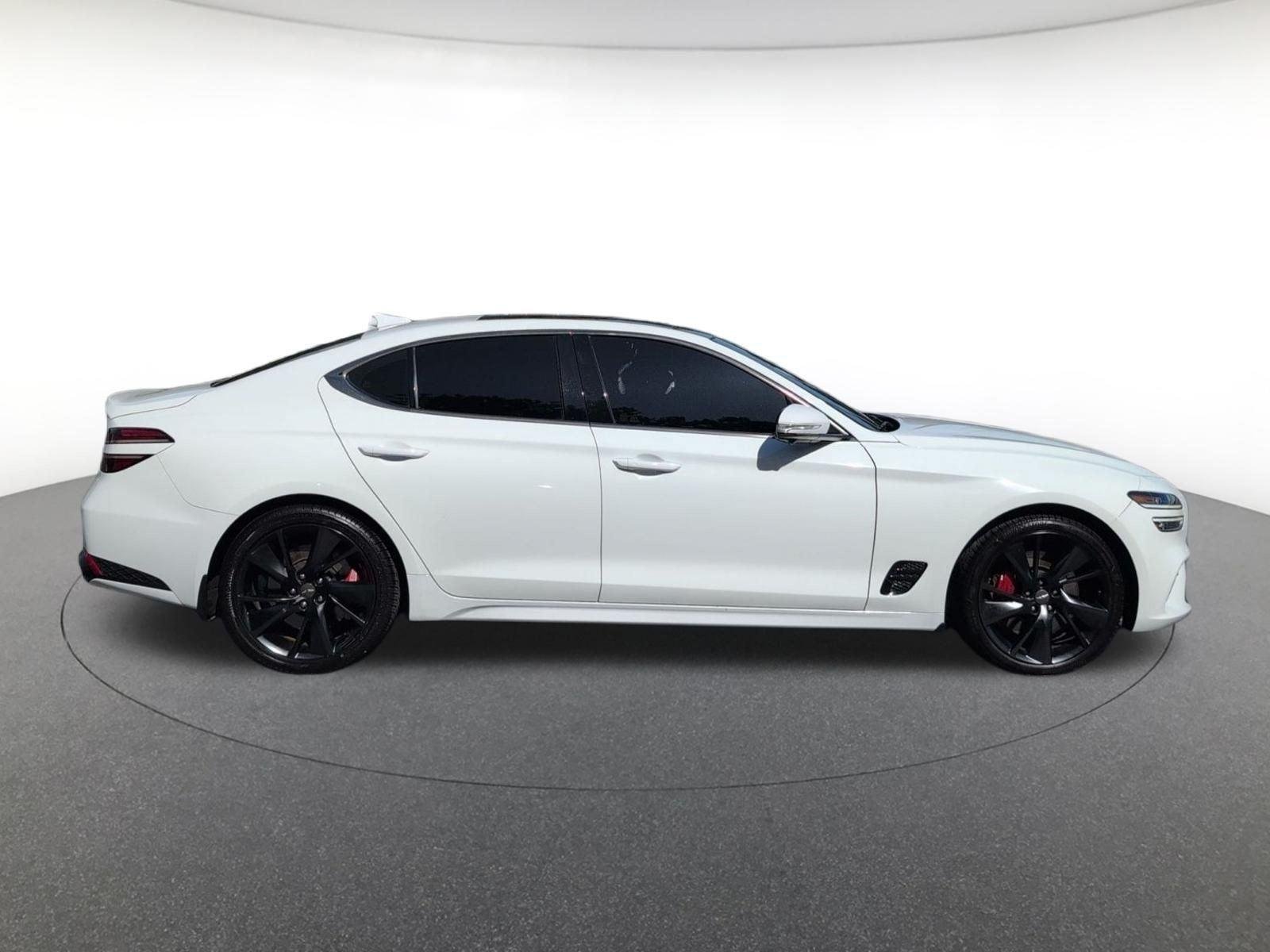 Used 2022 Alta White Genesis 3.3T image 10