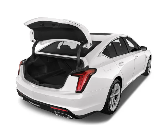 Used 2025 Typhoon Metallic Cadillac Sport image 7