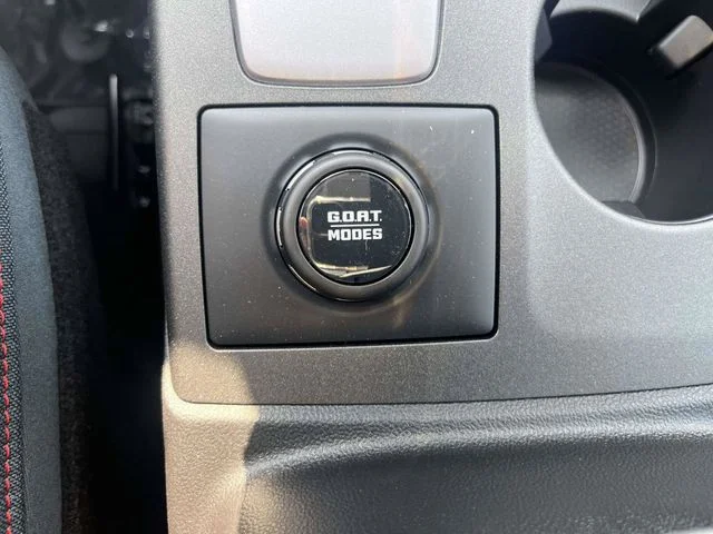 New 2026 Gray Ford Heritage image 19
