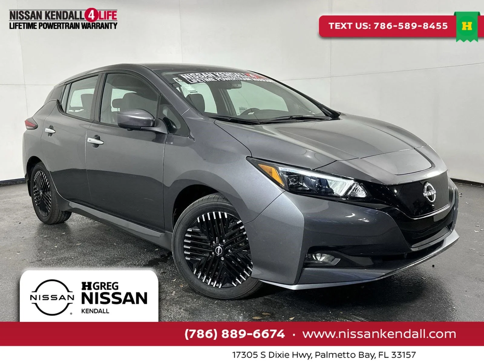 2025 Nissan Leaf SV PLUS's photo