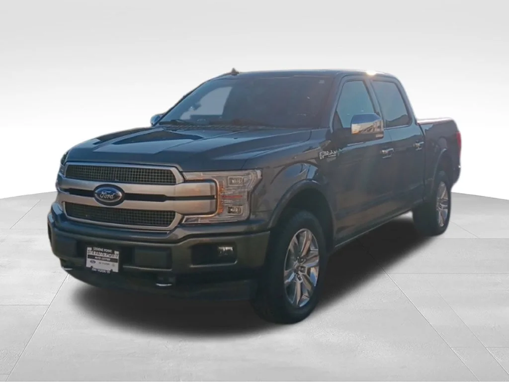 Used 2018 Magnetic Ford Platinum image 3
